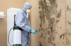 Best Mold Prevention Services  in Huntington Station, NY